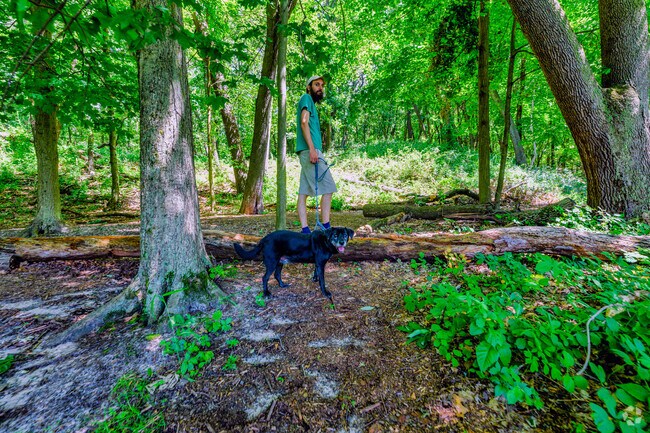Leashed dogs are welcomed at the Kleinstuck Preserve in Oakland-Winchell.