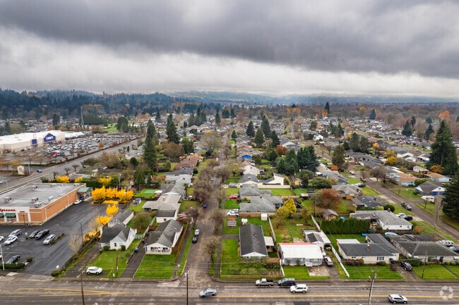 Olympic East features tree-lined streets near Lake Sacajawea Park.