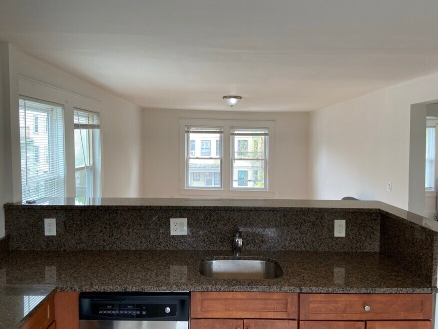 24 Dunreath St unit 2, Roxbury, MA 02119 - photo 1