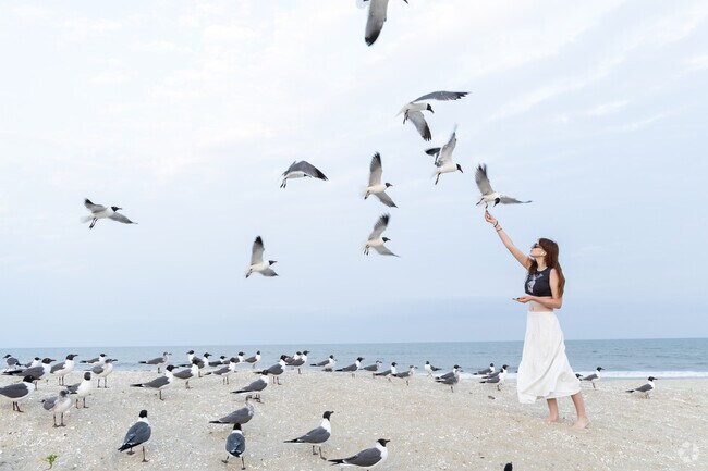 Visitors feed gulls and relax on Assateague Beach at Chincoteague National Wildlife Refuge.