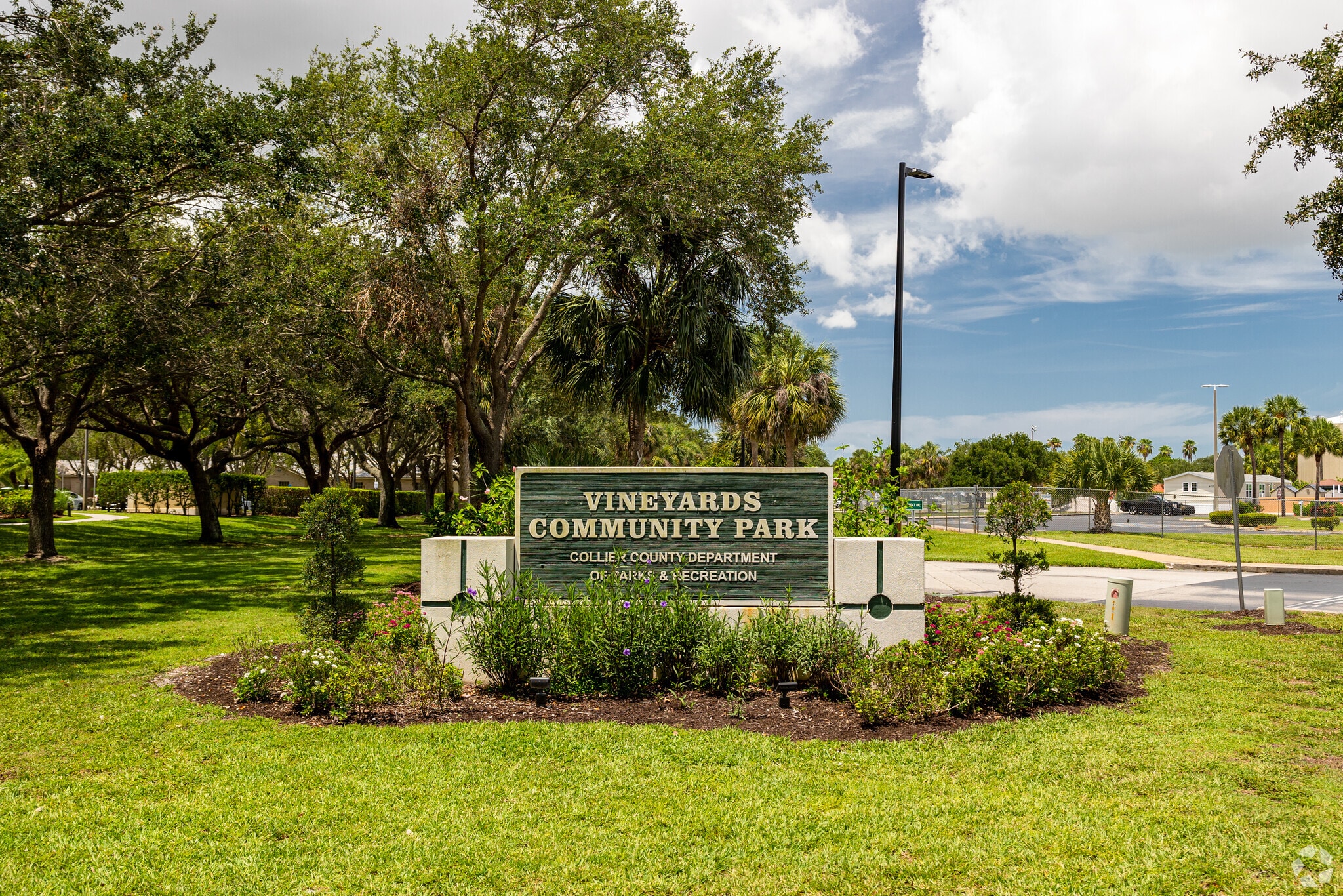 About Vineyards Schools, Demographics, Things to Do