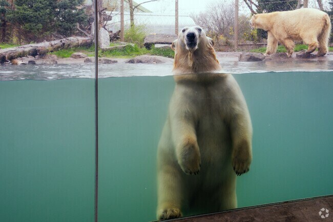 Elmwood Bidwell is also home to the Buffalo Zoo and all the friendly animals inside.