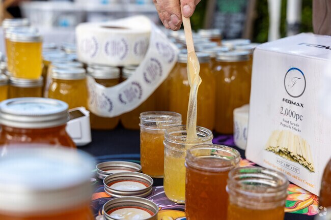 The District Farmer's Market has many vendors to explore, located next to Paradise Hills.