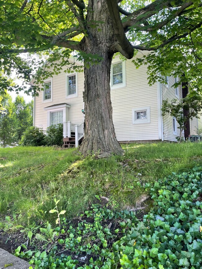 297 High St unit 301, Wadsworth, OH 44281 - photo 2