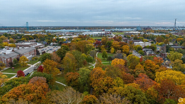 Autumn in Springwells Dearbron is quite stunning.