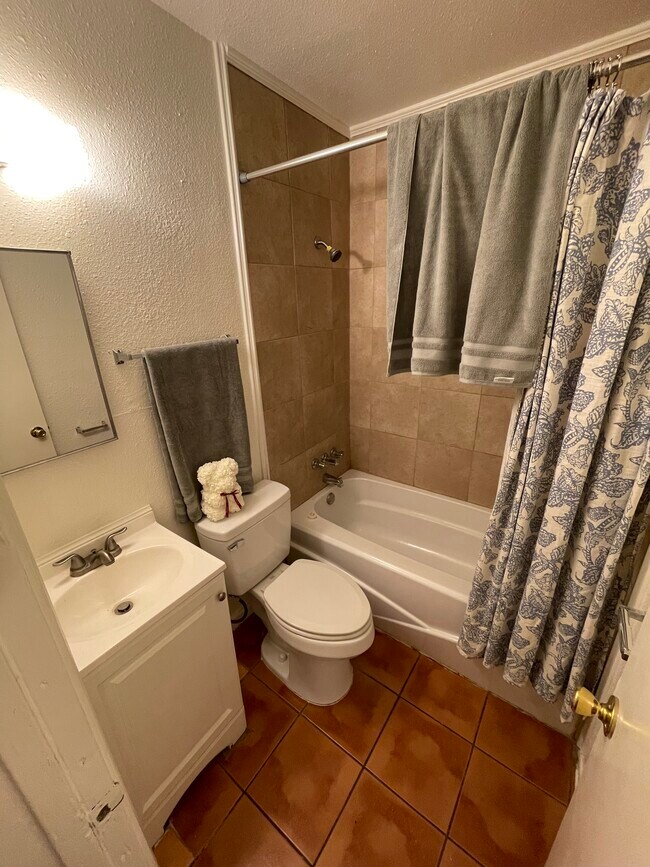 855 SW 34th St, San Antonio, TX 78237 - photo 5