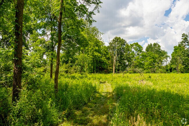 A short walking trail is cut through the tall grass at Ruthven Nature Area.
