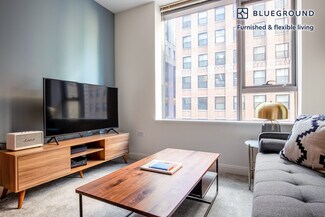 210 N Wells St Unit FL17-ID267, Chicago, IL 60606