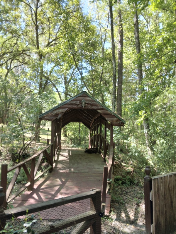 8035 NW 120th St Unit Rose cottage, Reddick, FL 32686