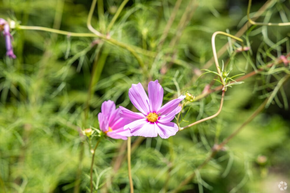Southeast Charlottesville