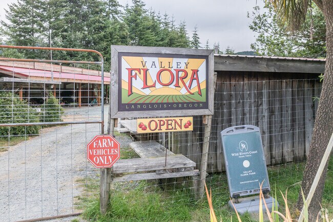 Valley Flora farms offers u-ick berries for locals.