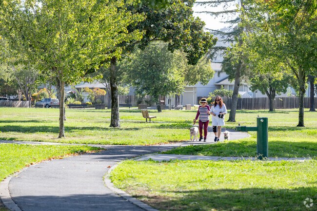 Beard locals walk dogs at O'Brien Park.