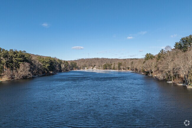 Nichols residents admire Pinewood Lake’s serene setting for summer relaxation.