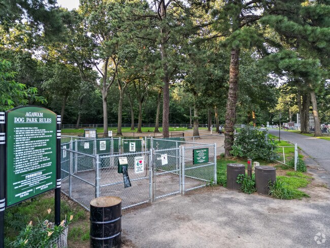 Agawam Dog Park allows your fur friends to have a blast nearby the rest of the family.