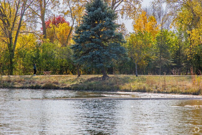 Residents enjoy walking their dogs around Lions Park.