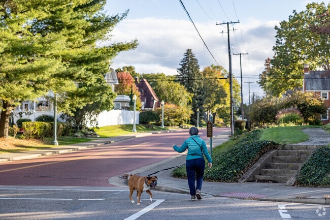 Locals in Colonial Heights take a walk and spend quality time with their pets.