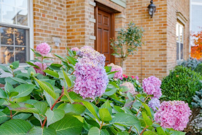 Lush and manicured landscaping can be found throughout Hyde Park.