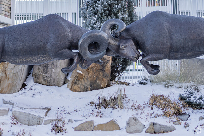The CSU Rams showcase their spirit and determination, uniting Fort Collins in pride.