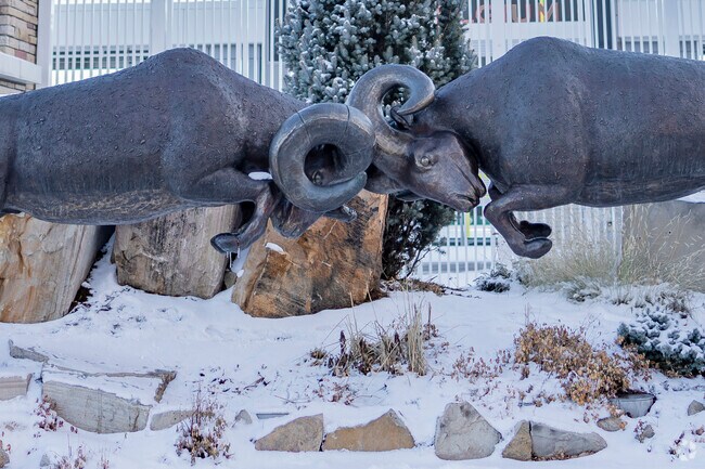 The CSU Rams showcase their spirit and determination, uniting Fort Collins in pride.