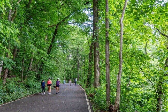 Radnor Lake State Park's walking path curves around the entire lake in Oak Hill.
