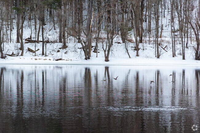 The Kennebec River offers Waterville residents beautiful scenery and wildlife viewing opportunites.