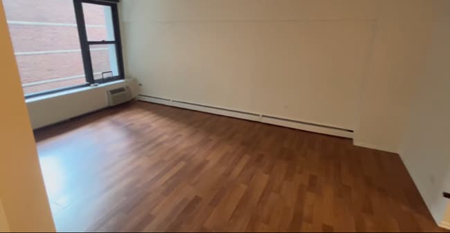 57 E Chestnut St, Chicago, IL 60611 - photo 7