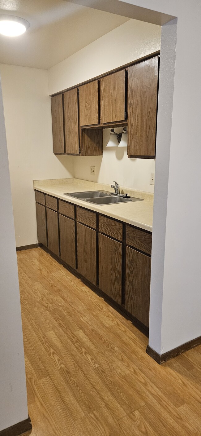 Kitchen counter with sink