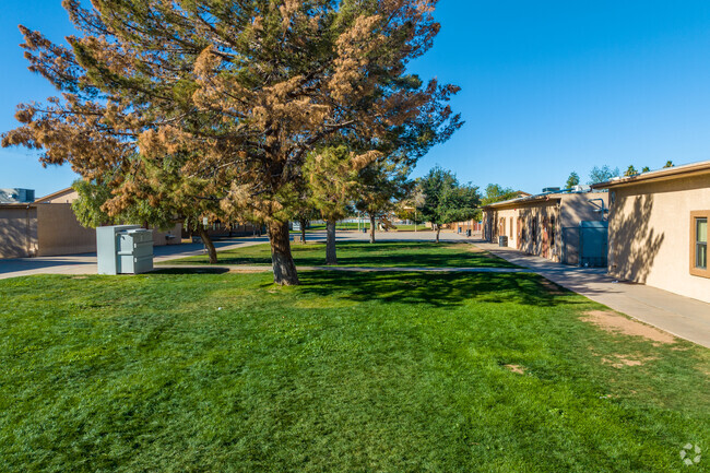 Education takes a dynamic turn at Sequoia Charter School in Mesa.