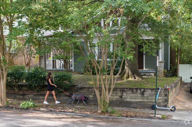 Thickets of trees offer Peachtree Park residents enjoyable shaded walks in the neighborhood.