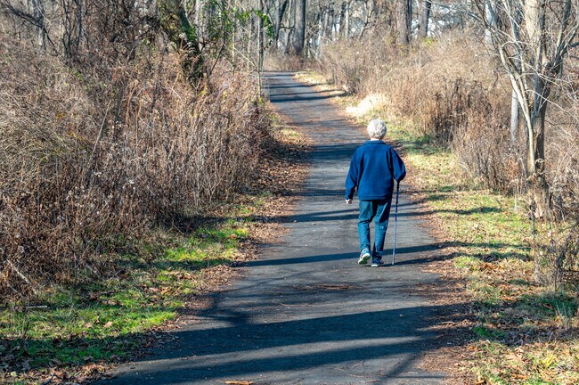 Enjoy the day by taking a stroll through the Piszek Preserve
