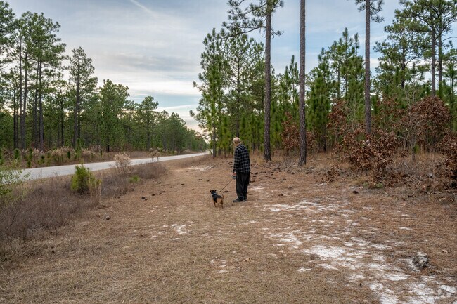 Smith Lake Recreation Area is the perfect place to bring your doggy for a walk.