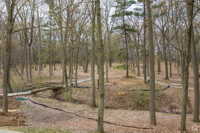 There are miles of wooded trails to explore in Ridgebrook.