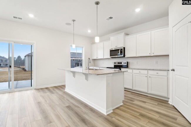 582 Griffon Dr, Chapin, SC 29036 - photo 4