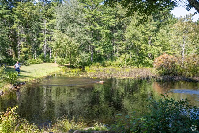 Bring your furry friend for a bath at Driscoll Pond in Voluntown, near Griswold.