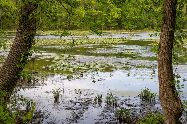 The Chesapeake brings marsh lands and wildlife into the Perryman community.