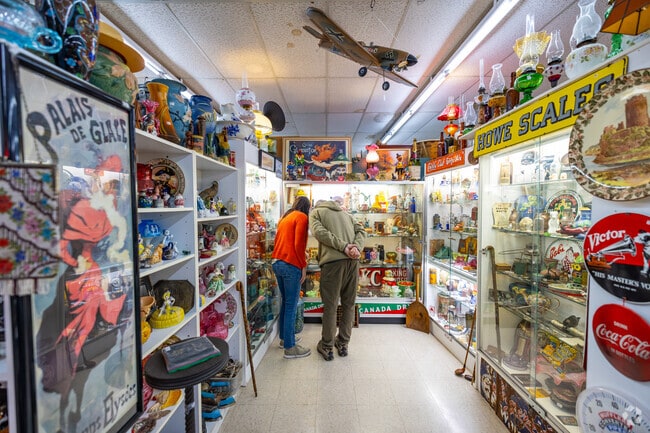 Indulge in a journey through history at Patterns of the Past near Gold Canyon.