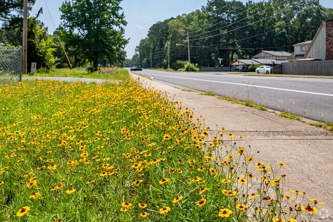 Flowers along Cloverdale Watson's sidewalk-lined streets bring beauty to the neighborhood.