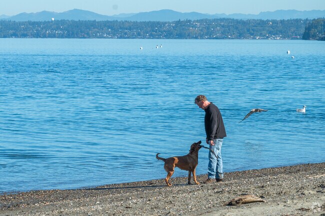 Dash Point dogs need to be convinced to leave the beach.