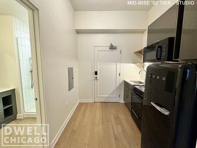 118 W Chicago Ave unit 2, Chicago, IL 60654 - photo 4