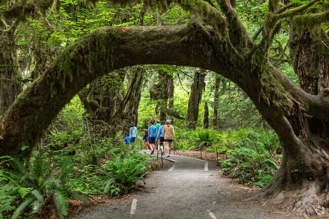 Olympic National Park encompasses nearly a million acres of vast wilderness.