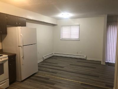 244 Oakville Ave unit H, Waterbury, CT 06708 - photo 5