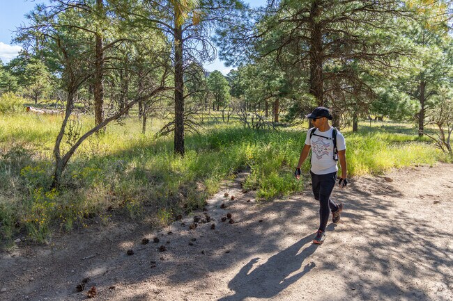Hiking and biking trails can be found all around Walnut Meadows