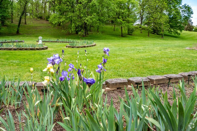 Purple irises in the iris garden in the Ellington Agricultural Center in Crieve Hall.
