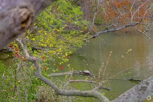 The Gunpowder River brings a variety of wildlife to your backyard when you live in Honeygo, MD.