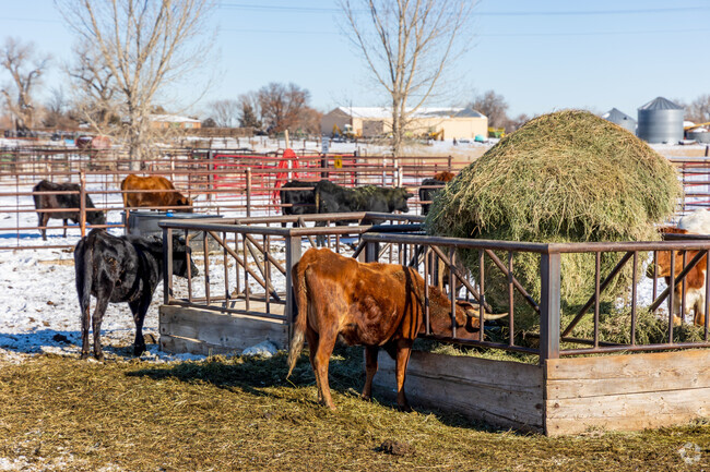 The city of Brighton stays true to it's agricultural roots.