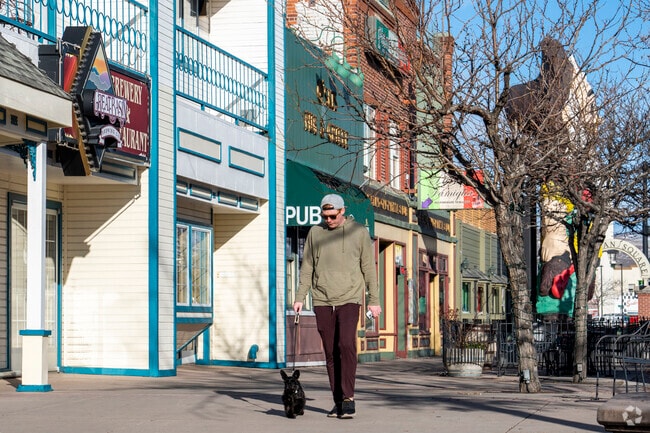 The main drag of Downtown Sparks is lovely in the afternoon sun when your dog needs a walk.