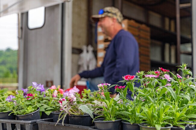 The Lunken Farmers Market in East End has fresh produce and beautiful foliage every Saturday.