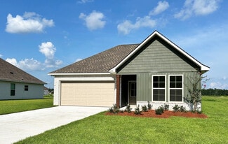 46014 Terra Cotta Ct, Hammond, LA 70401