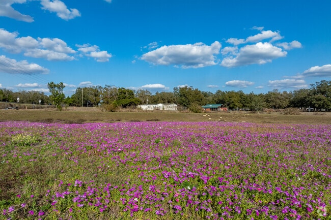 Country estates around Zephyrhills bloom bright with wildflowers and scenic views.