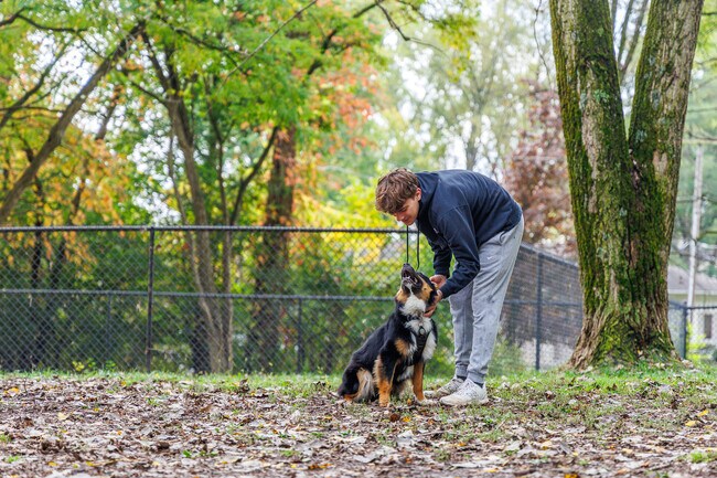 Whether your pup's name is Fido or Ragnar, he will love Lakeside Dog Park in Fleming.